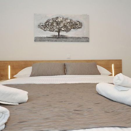 Villa Ankora 2 With Heated Pool Biograd Na Moru Exterior foto
